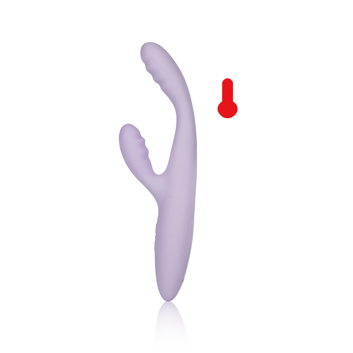 Cici + 2